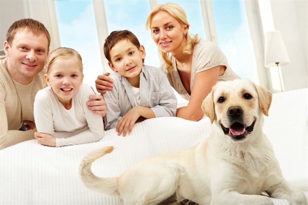 letting-to-tenants-with-pets
